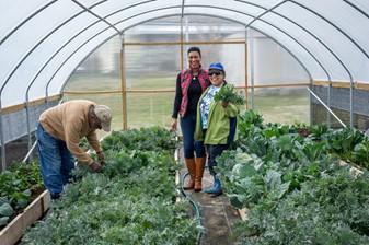 Figure 8: The Greener Garden Urban Farm is an example of a for-profit family farm. Farmers Warren and Lavette Blue also value being able to provide fresh local produce in their community and bring youth to visit the farm to see how food is grown. Photo by Edwin Remsberg, © UMD AGNR Image Database.