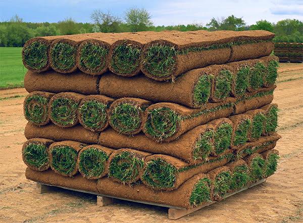 pallet of sod