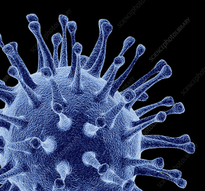 Avian Influenza Molecule