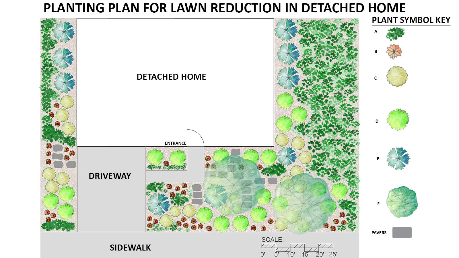 single family home landscape design