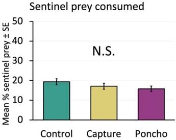 Data on the sentinel prey consumed displayed in a bar chart.