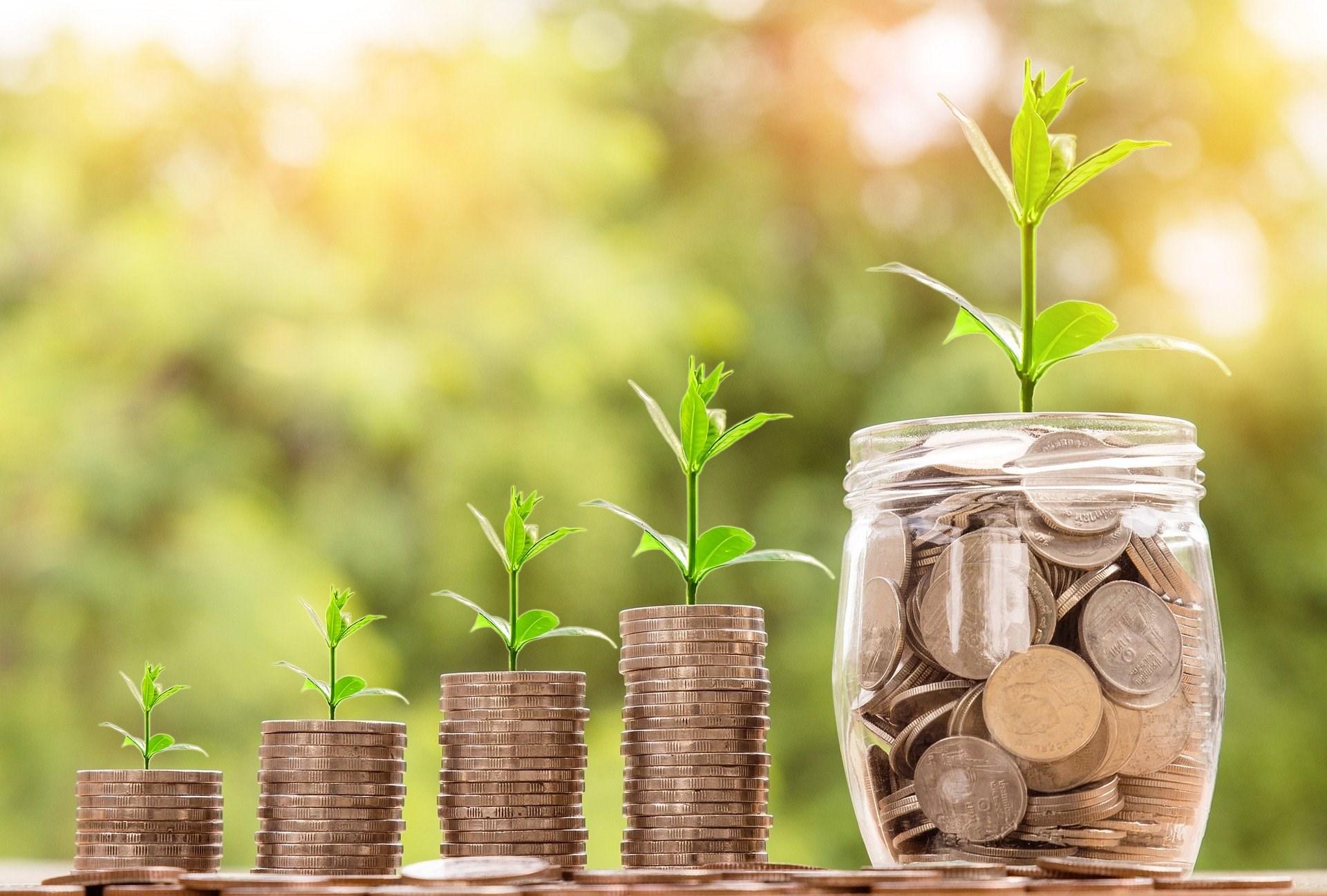 A stack of coins and a jar filled with coins with growing plants