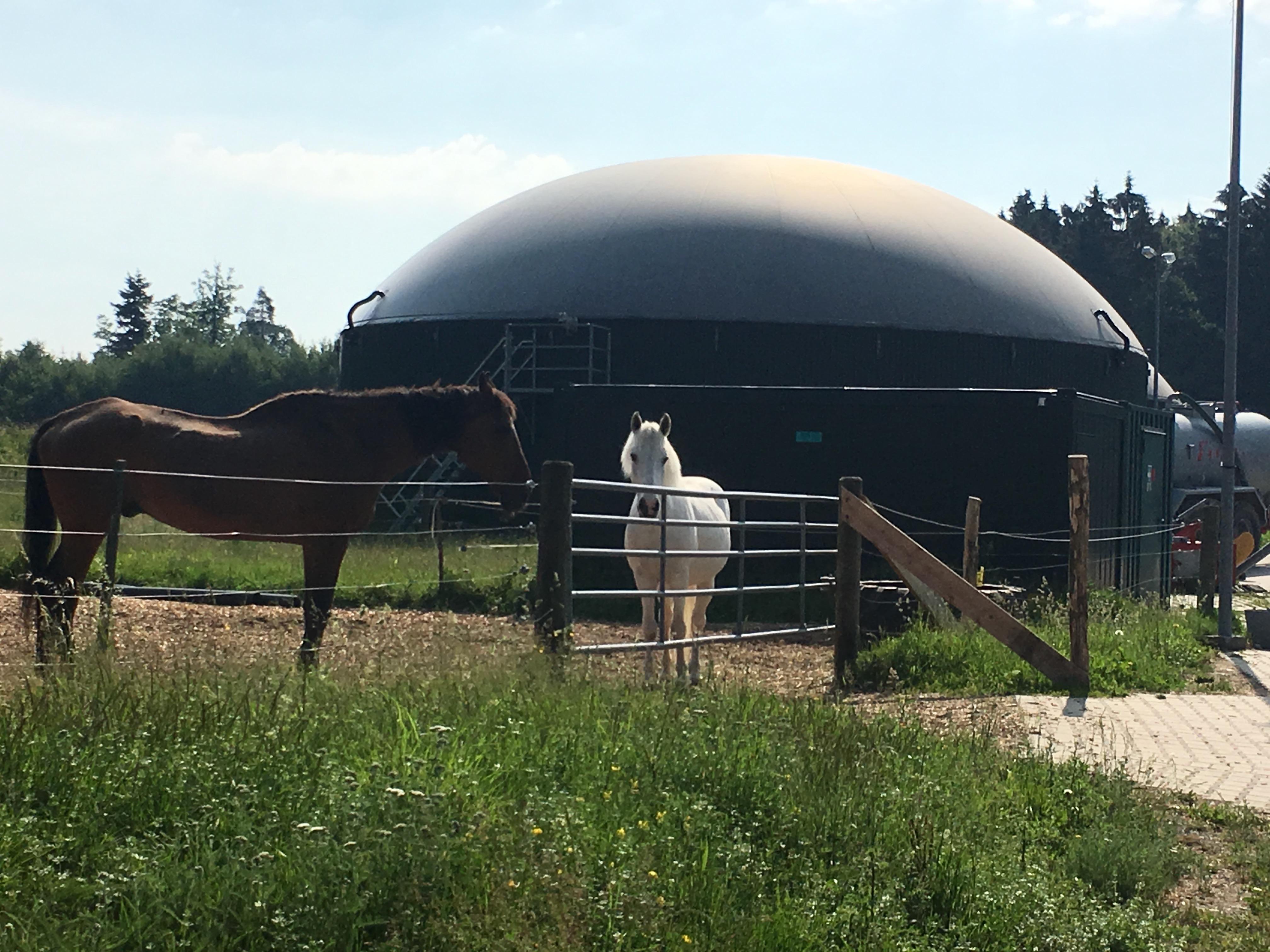 Upright anaerobic digester