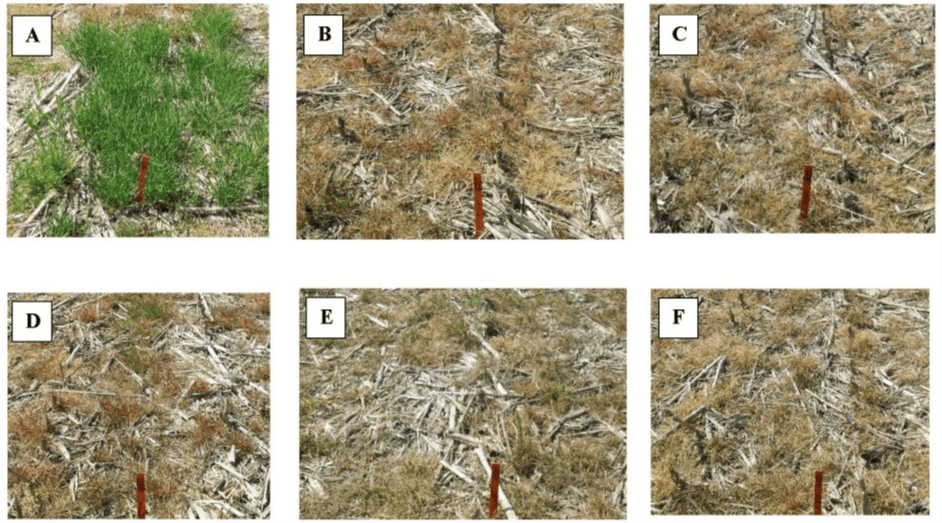 Preplant burnout LESREC