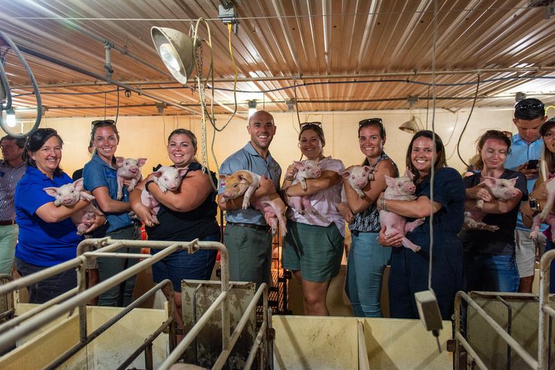 Class XI holding pigs at Langenfelders