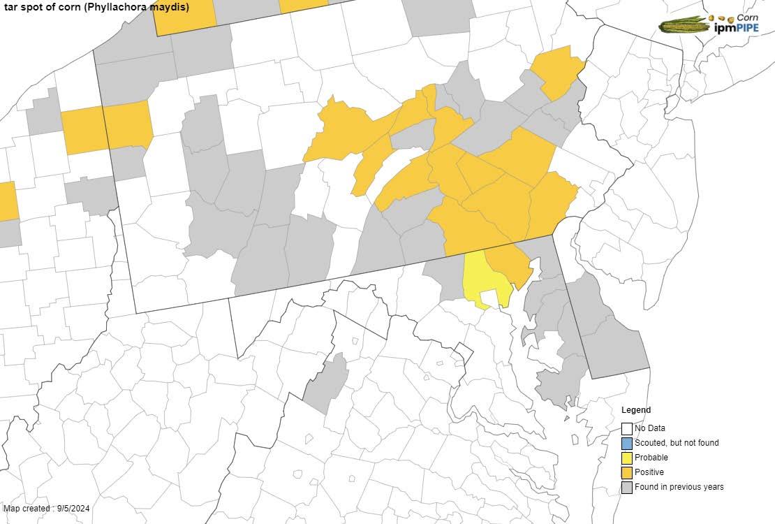 Map of the Mid-atlantic showing cases of tar spot