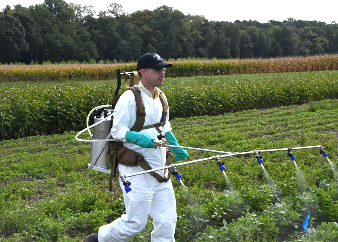 A man manually spraying crops in a field.