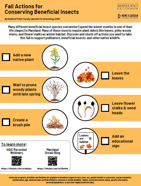 fall actions for beneficial insects