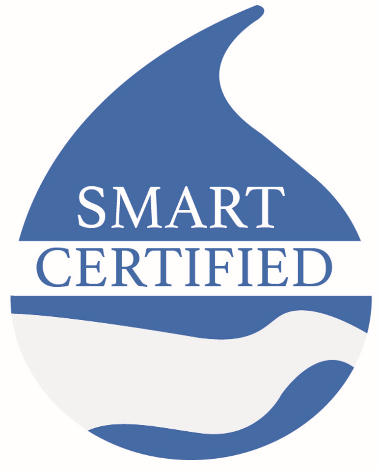 SMART Logo