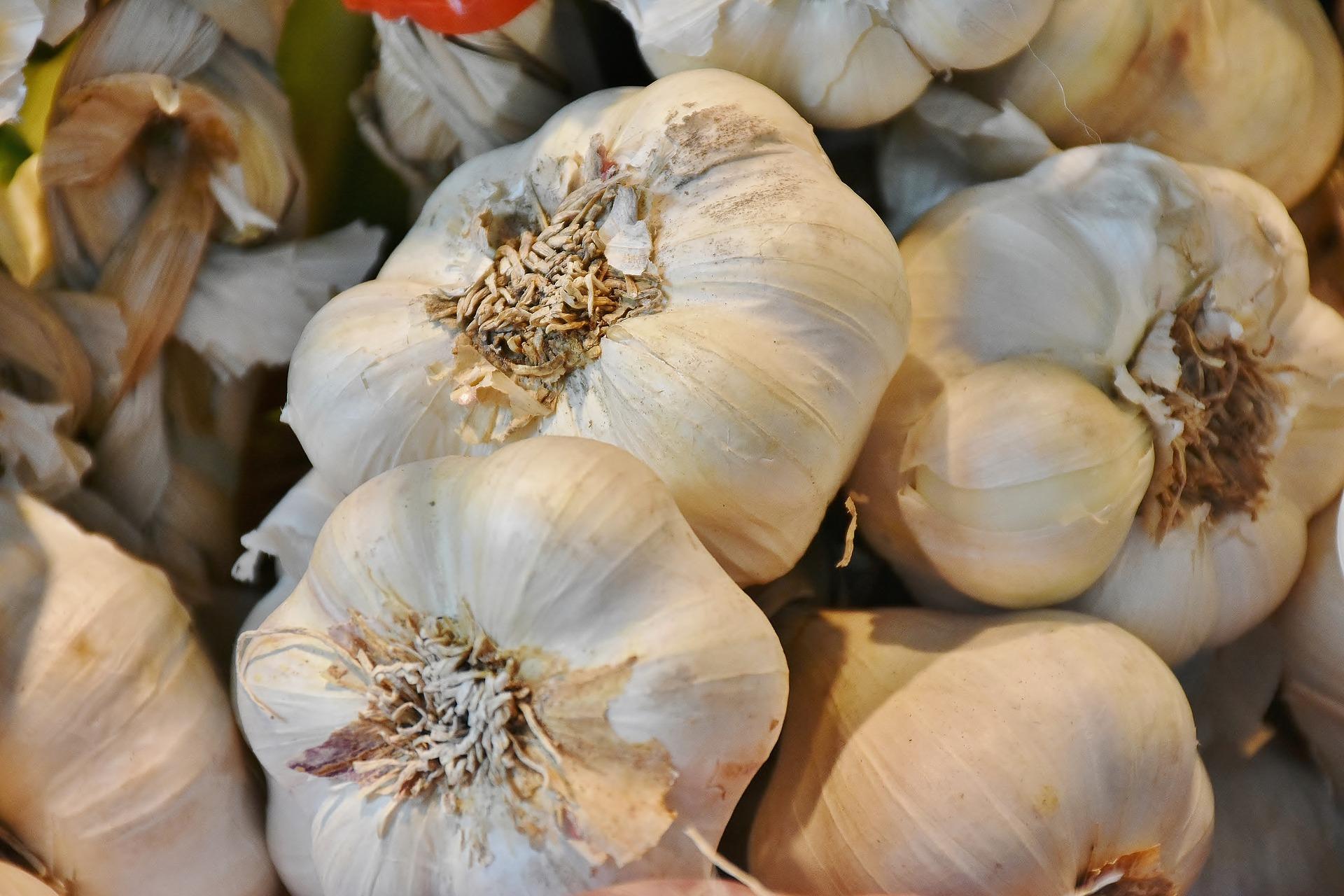 garlic cloves