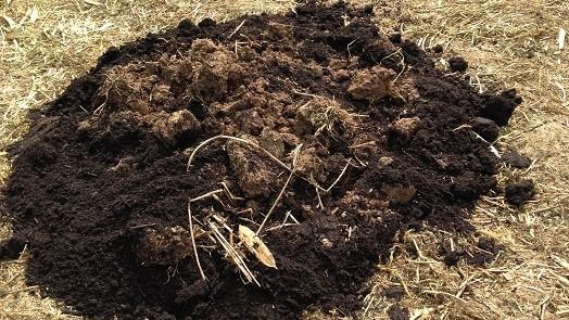 soil compost