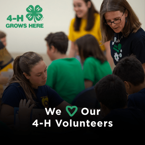 4-h Volunteer 4