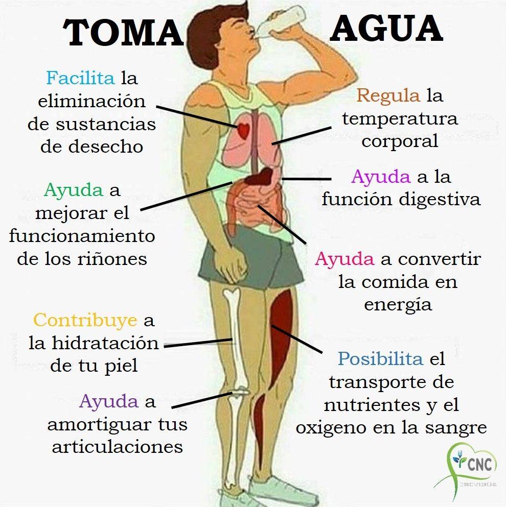 Toma agua