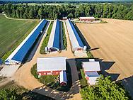 Commercial Poultry Production Farm