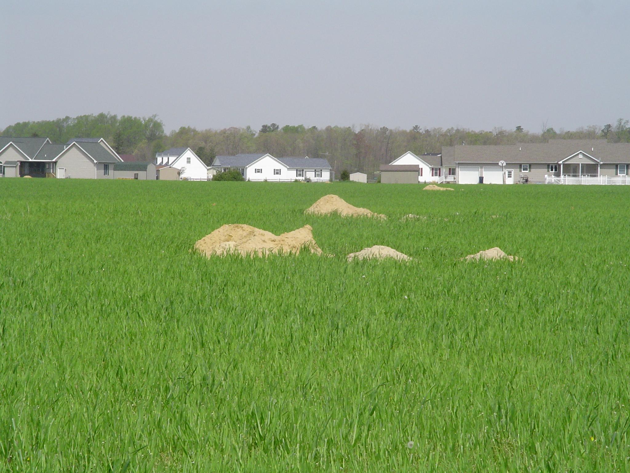 Housing development bordering farm field 