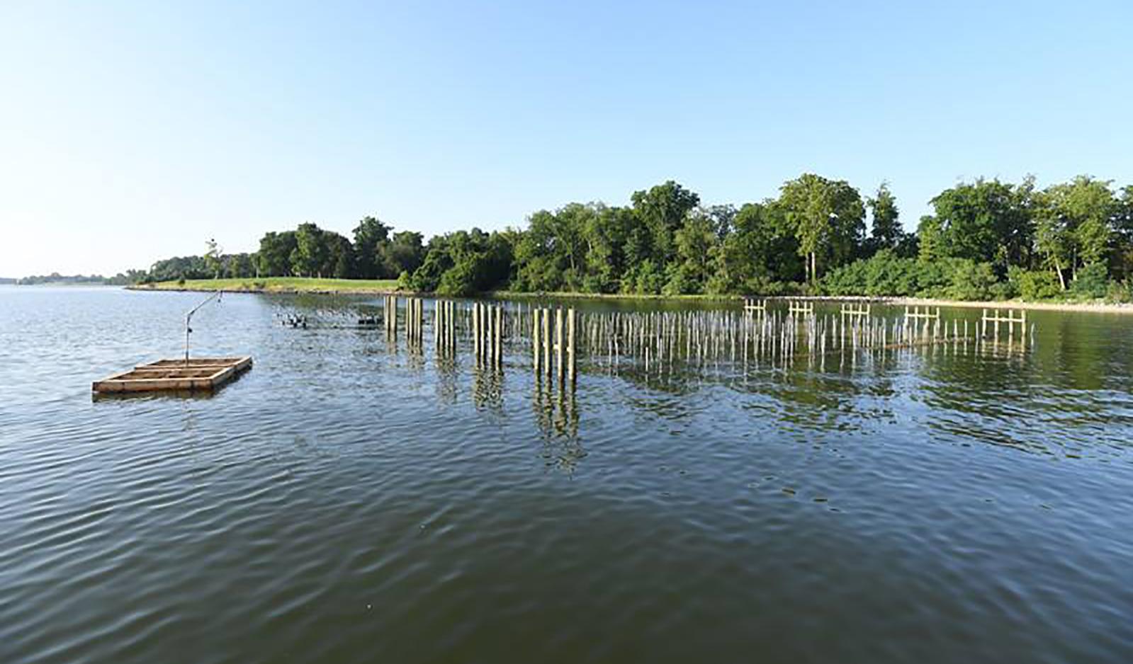 Image of Horn Point Laboratory's Oyster Demonstration Farm