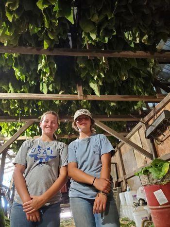 Club Members completing ag project