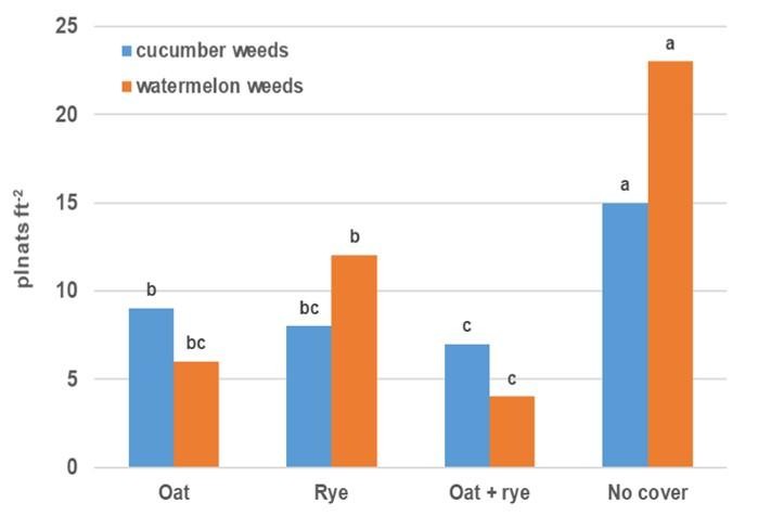 Bar graph showing the effect of spring-seeded grass cover.