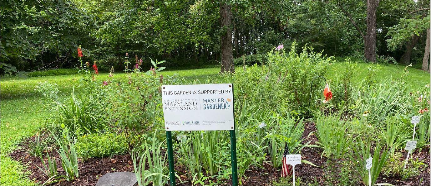 Linthicum Walks Native Plant Garden