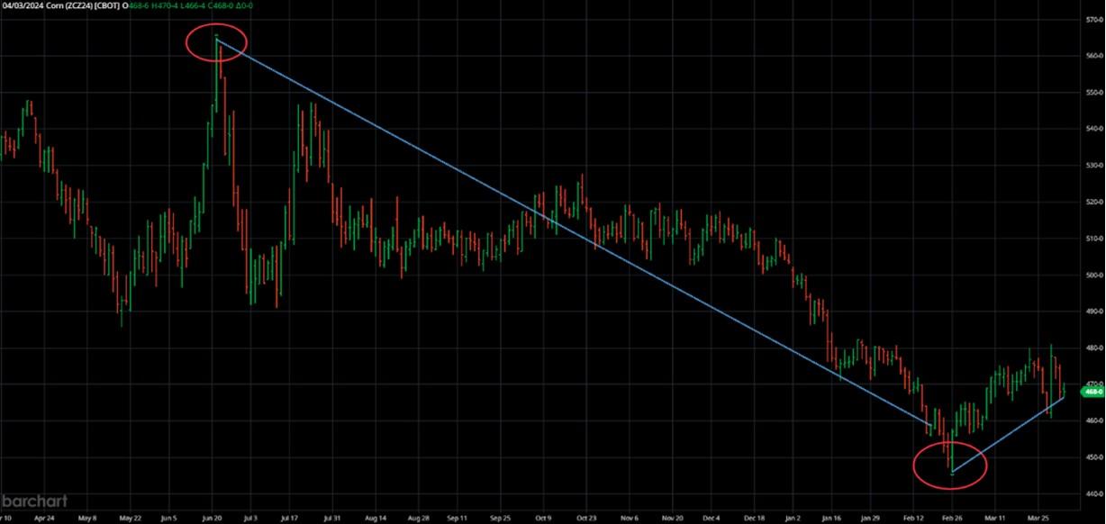 Stock market graph on corn