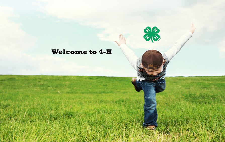 Welcome to 4-H