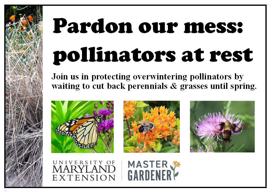 a sign that says pardon our mess pollinators at rest