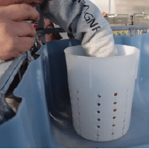 White plastic container sitting on the grow bed.